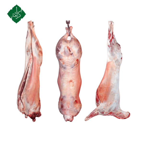 Whole Lamb Carcass